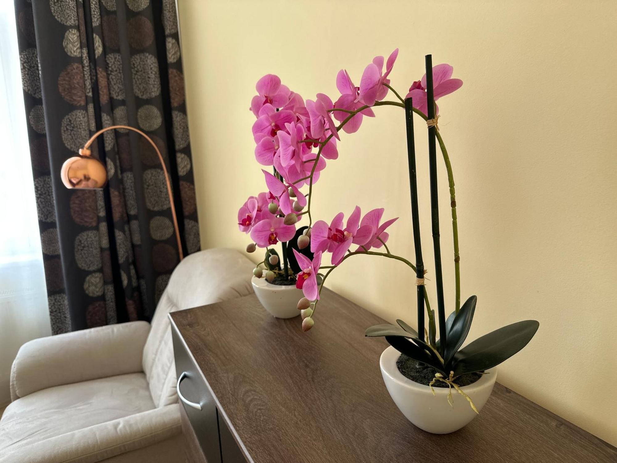 Apartment Zeyerova4 Карлові Вари Екстер'єр фото