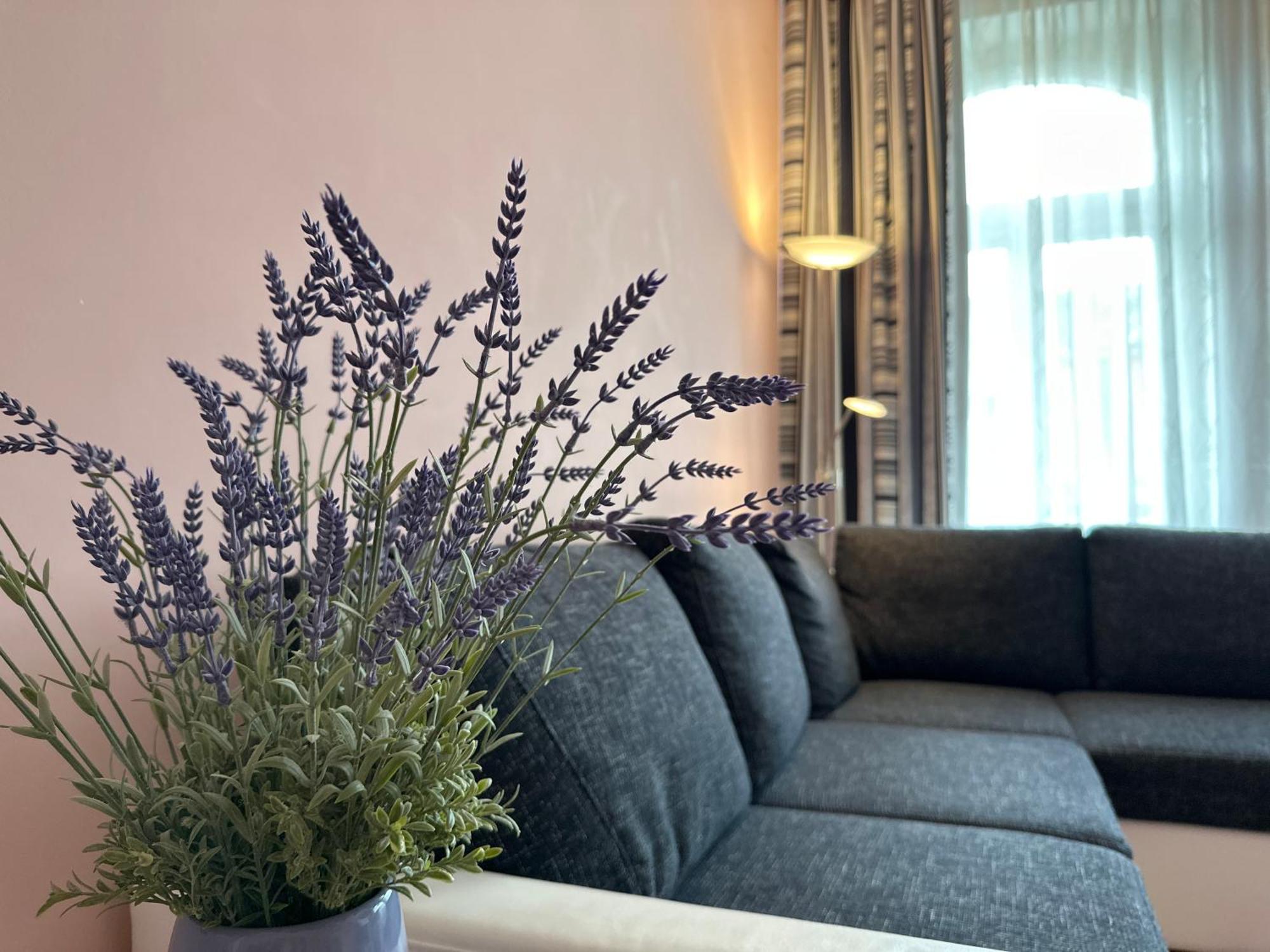 Apartment Zeyerova4 Карлові Вари Екстер'єр фото